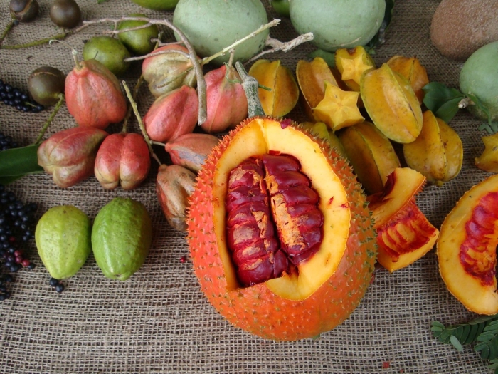 Тропические фрукты маракуйя личи папайя