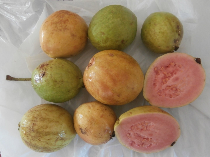Гуайява фрукт