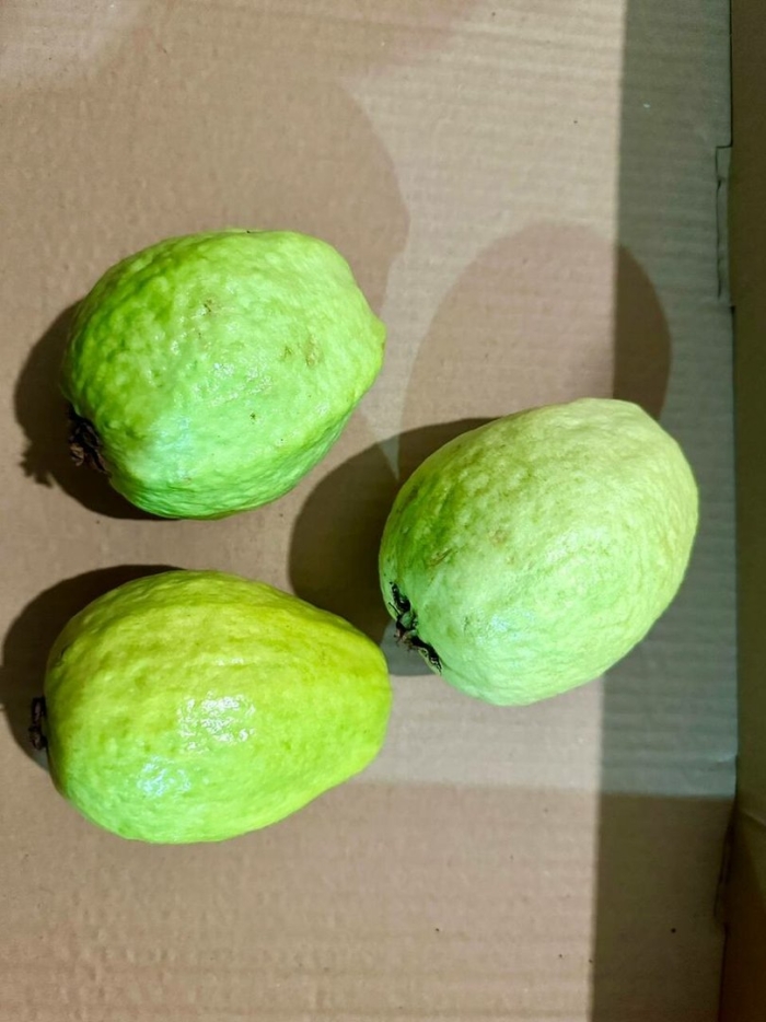 Гуава фрукт