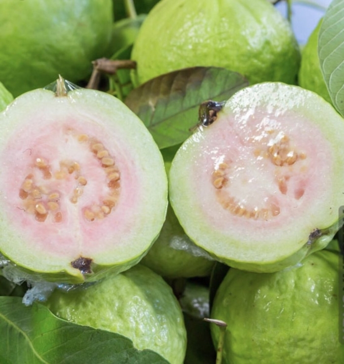 Гуава мексика