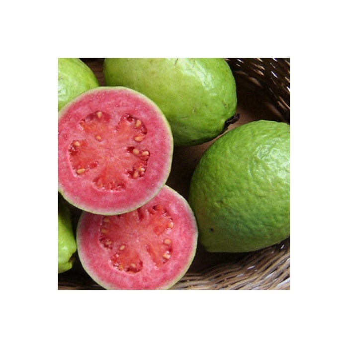 Розовая гуава