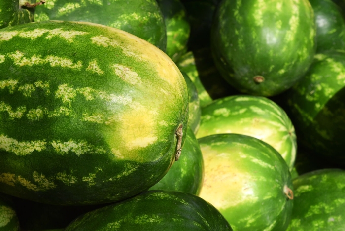 Бахчевые культуры