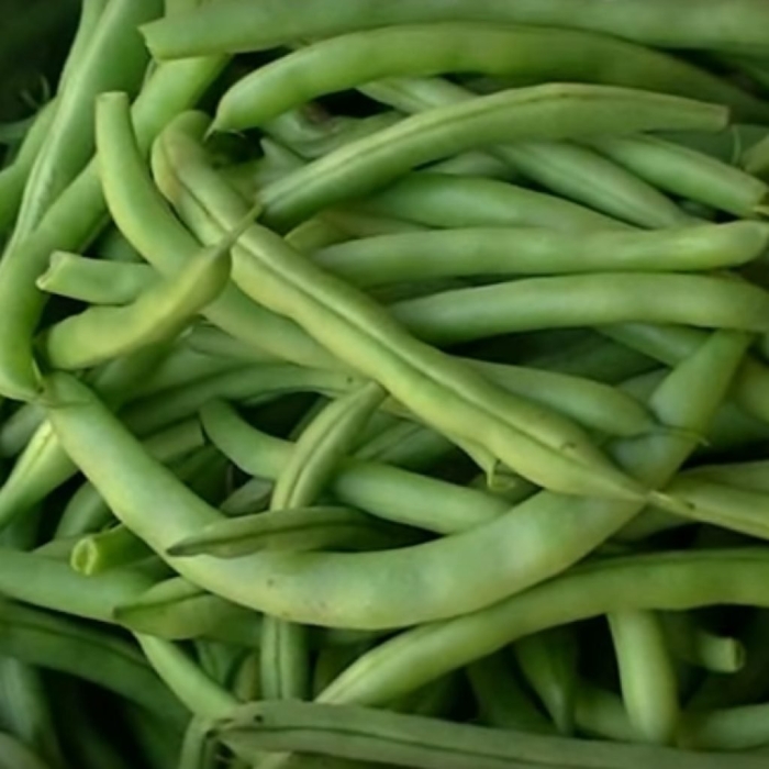 Фасоль стручковая