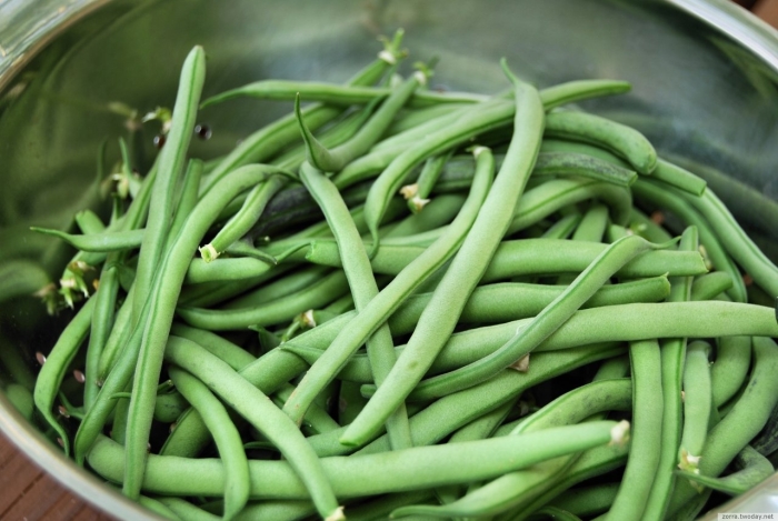 Стручковая фасоль