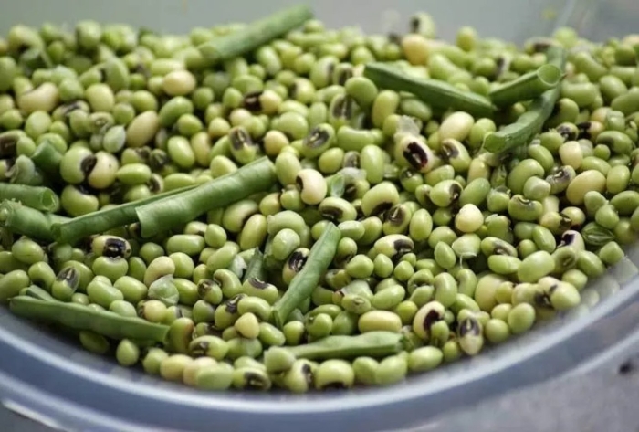 Фасоль бобы