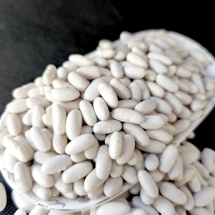 Белая фасоль кидни