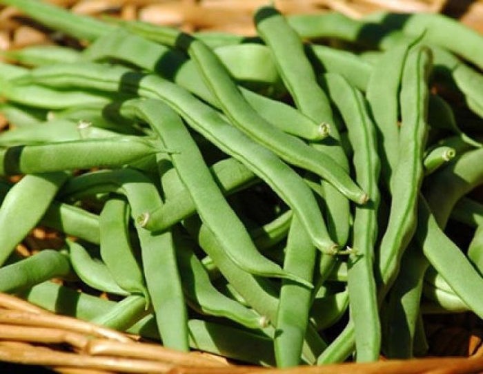 Спаржевая фасоль