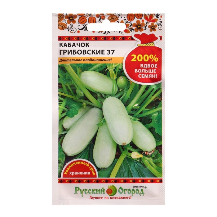 Кабачок белоплодный грибовские 37