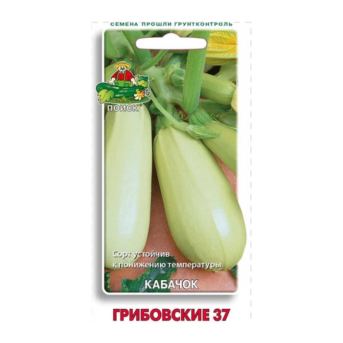 Кабачок грибовские 37