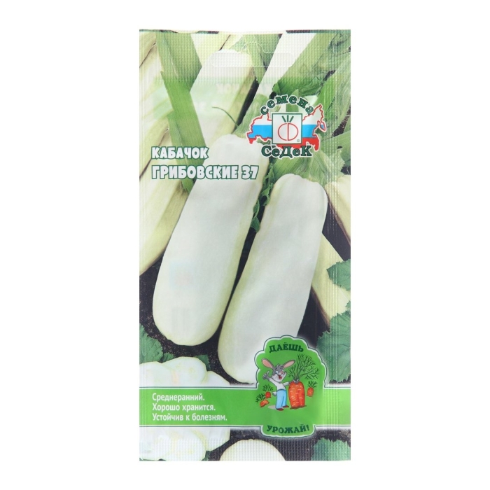 Кабачок грибовский семена