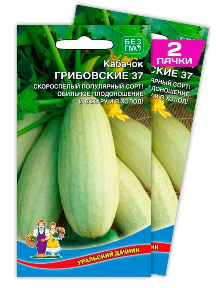Сорт кабачка грибовский 37