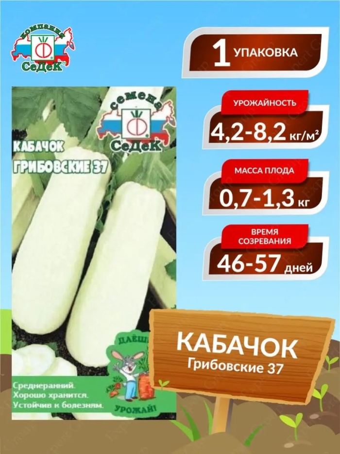 Семена кабачок грибовские 37 ду седек