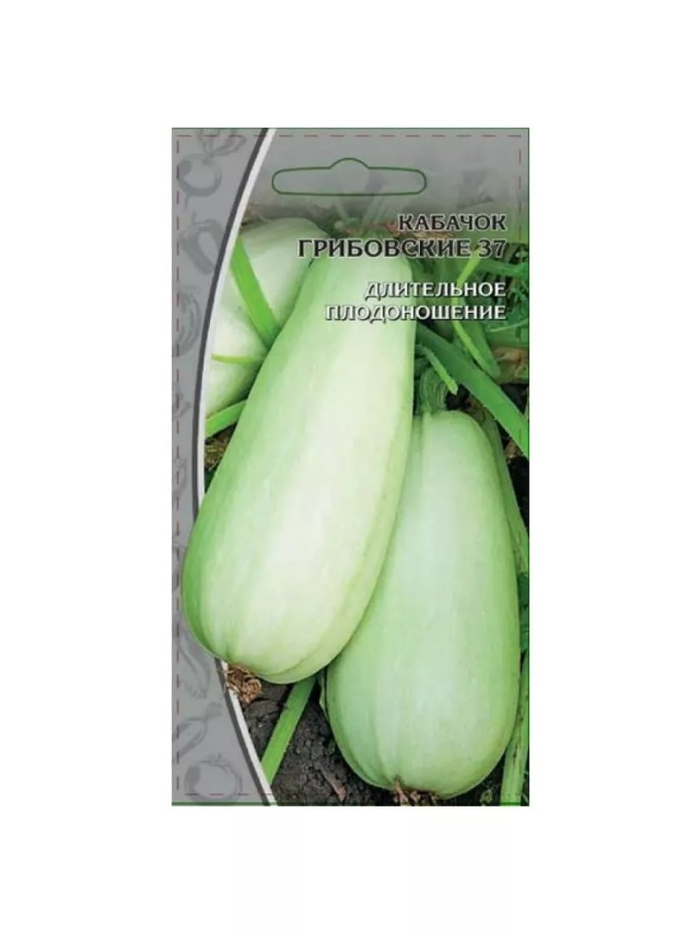 Семена кабачка грибовские 37