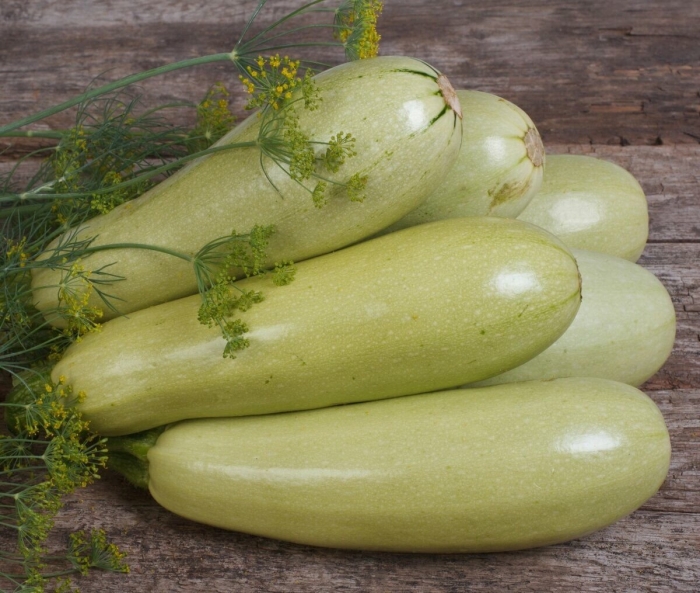 Гавриш кабачок белоплодные