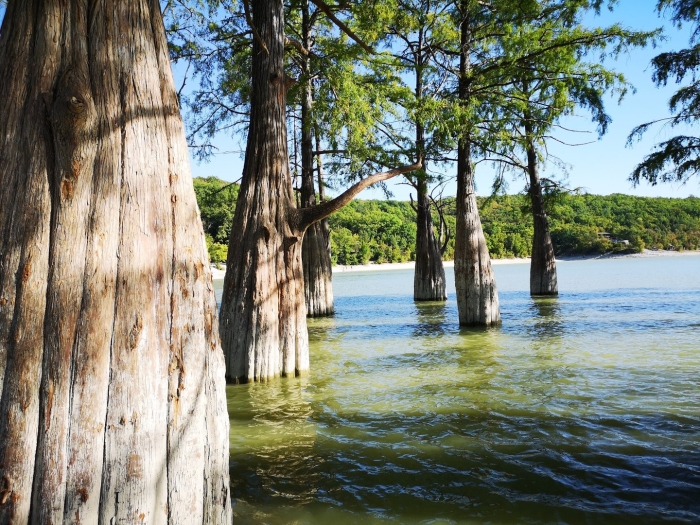 Кипарисовое озеро сукко