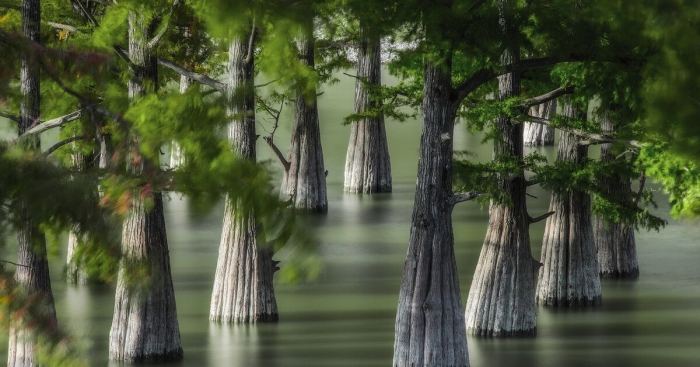 Долина сукко кипарисовое озеро анапа