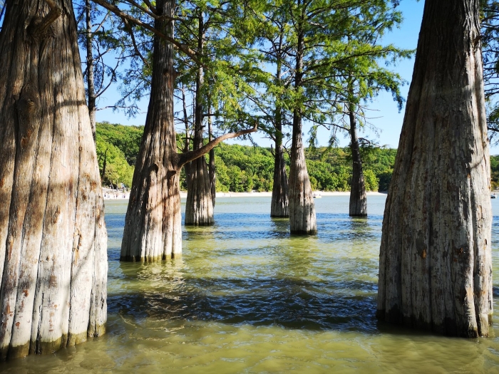 Кипарисовое озеро в анапе 2022