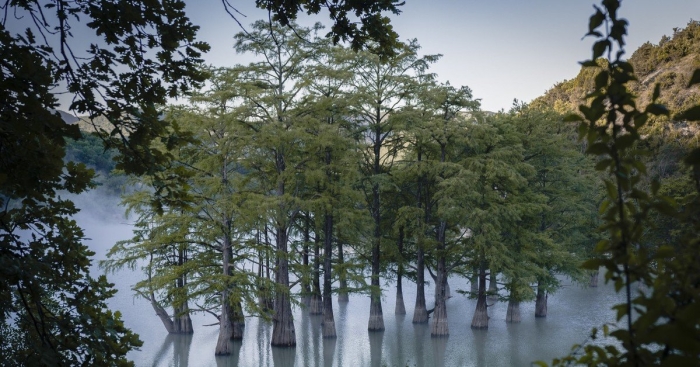 Озеро сукко кипарисовое