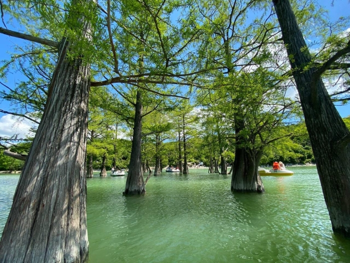 Кипарисовое озеро в анапе