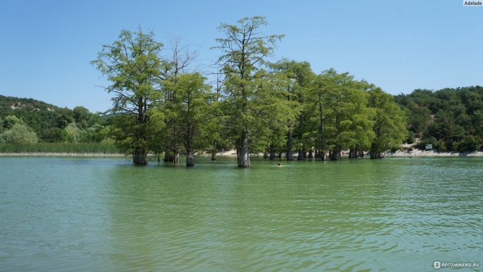 Сукко кипарисовое озеро