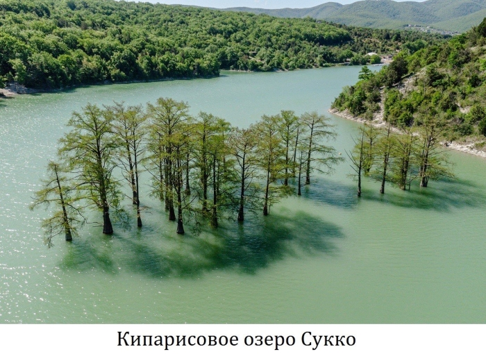 Кипарисовое озеро краснодарский край