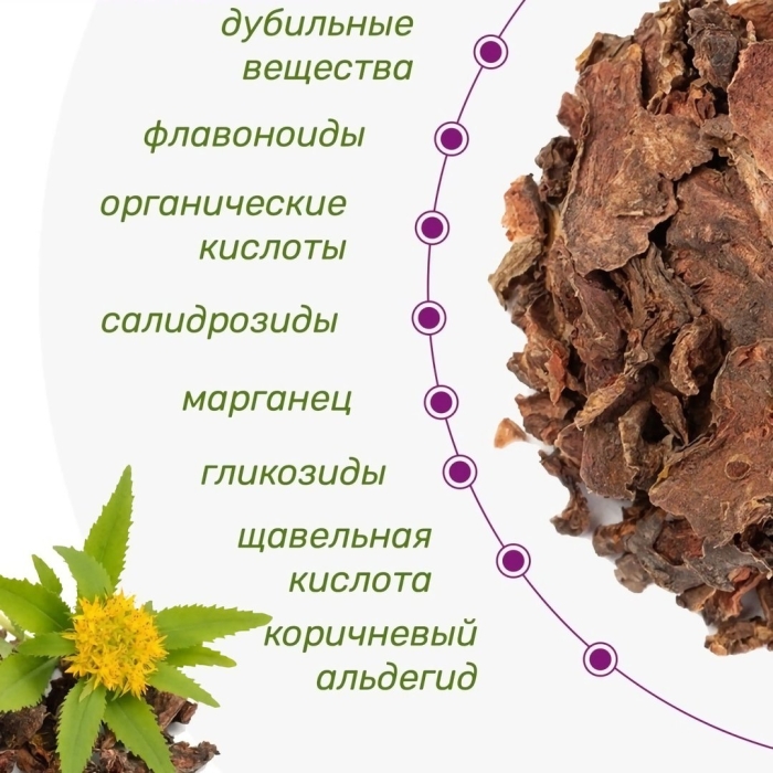 Золотой корень алтайский