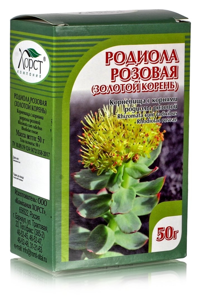Алтайский золотой корень родиола розовая