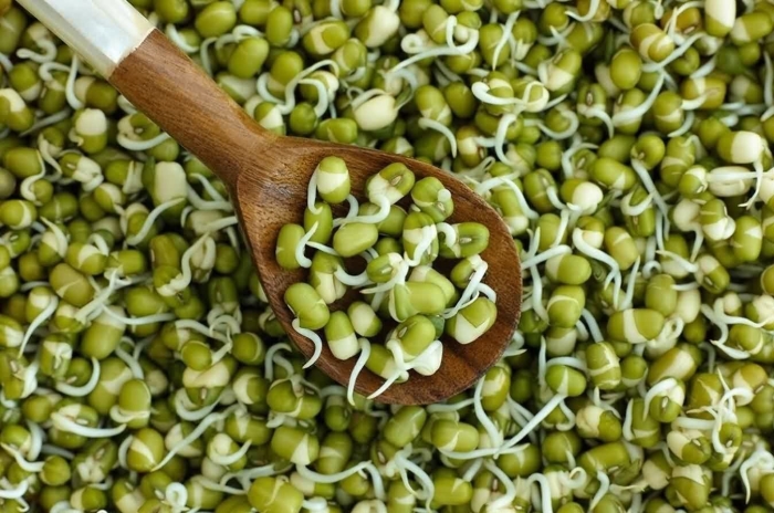 Проростки мунг