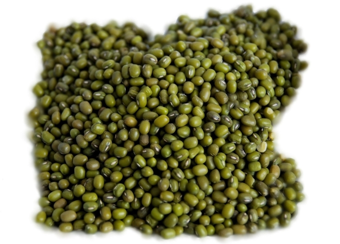 Маш бобы мунг