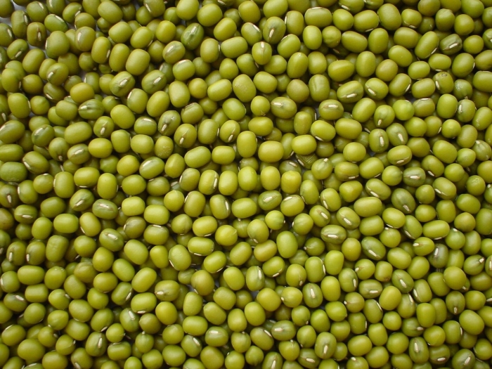 Маш бобы мунг