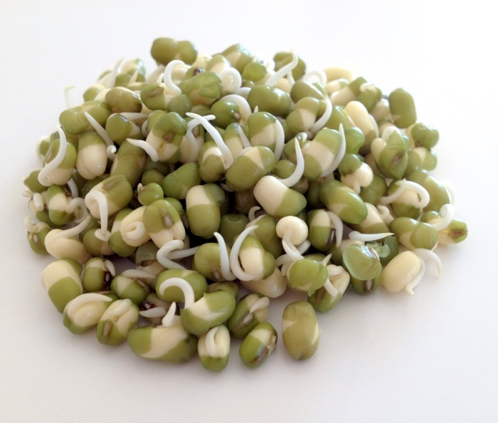 Проростки фасоли маш