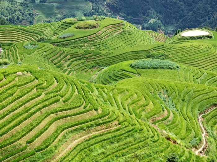 Террасы лонгджи китай