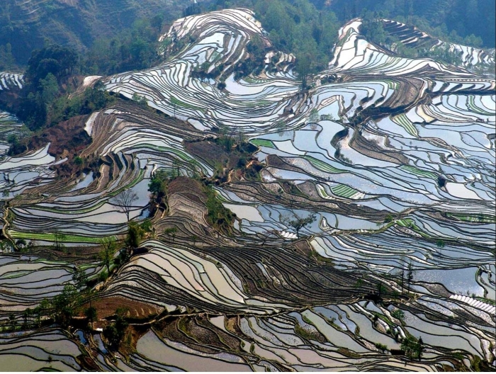 Провинция юньнань китай