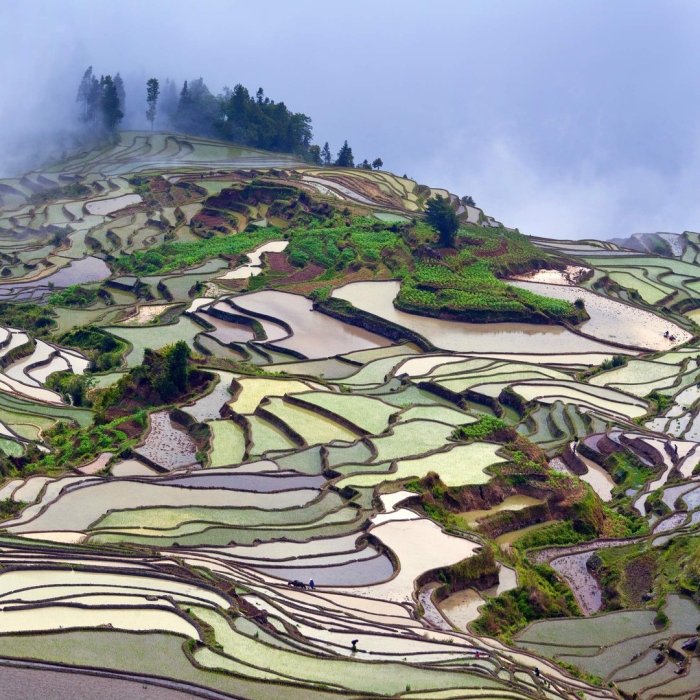 Провинция юньнань китай