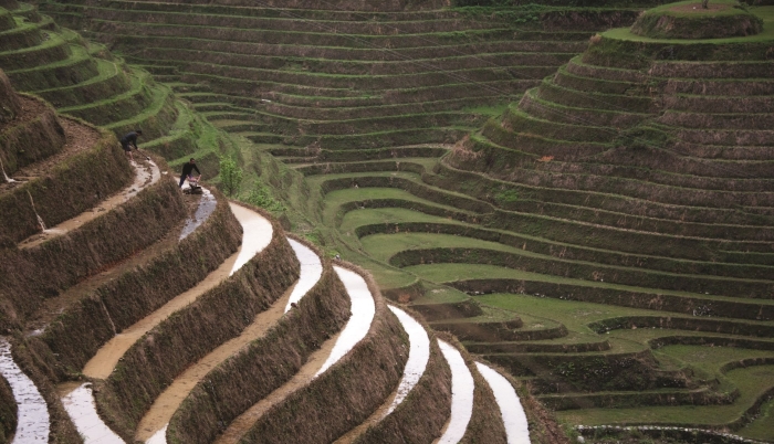 Террасирование склона
