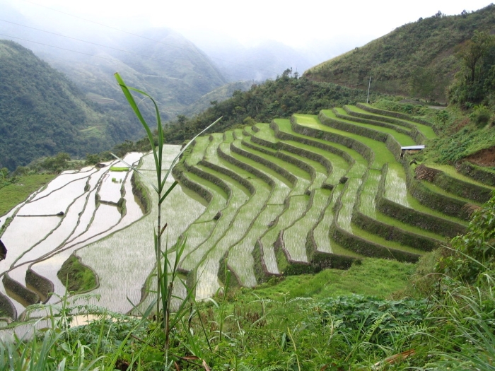 Долина сапа вьетнам