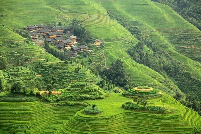 Longsheng rice terrace