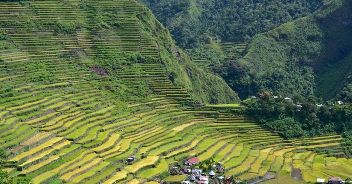 Рукотворные рисовые террасы филиппины