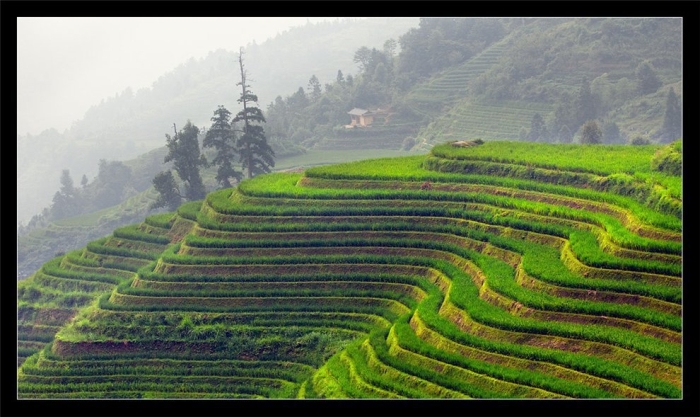 Китай великая китайская равнина