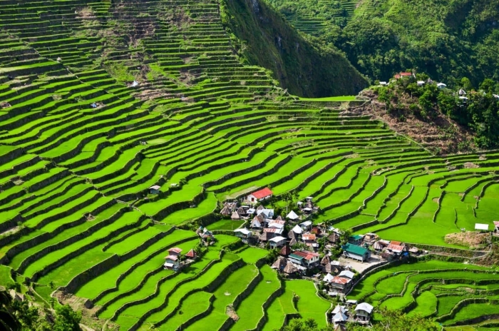 Рисовые террасы банауэ