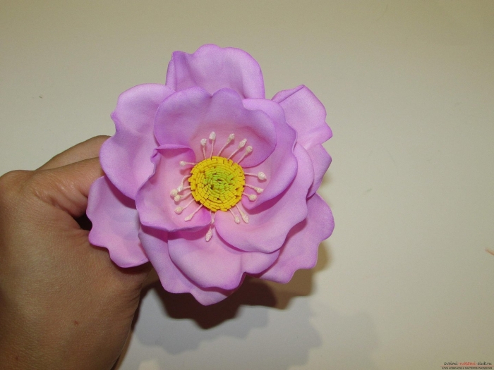 Шиповник из фоамирана мастер класс