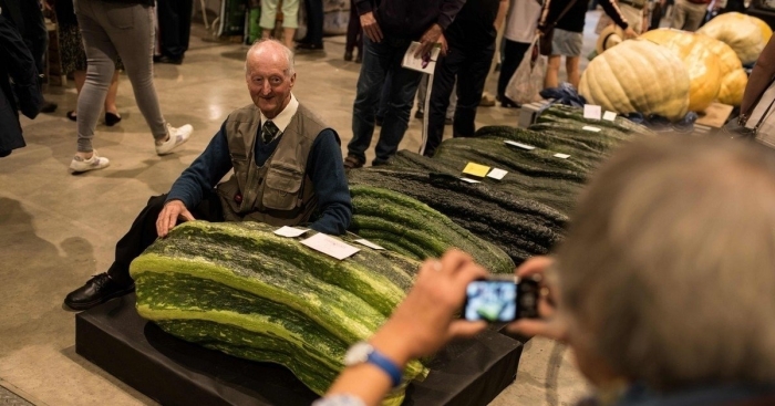 Самый большой кабачок в мире