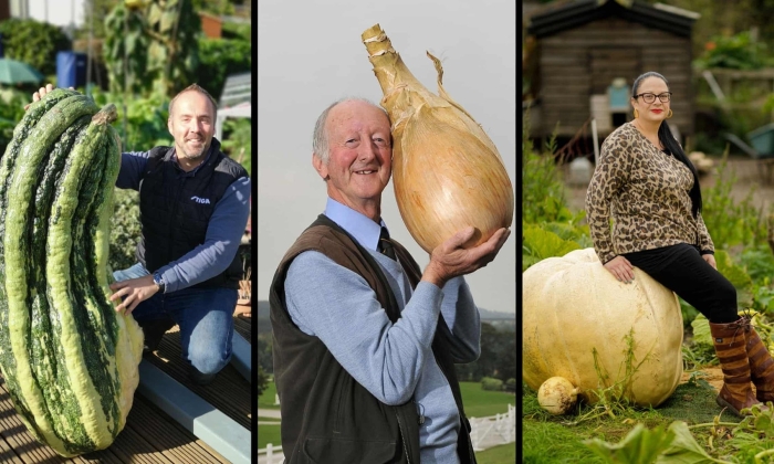 Гигантский кабачок