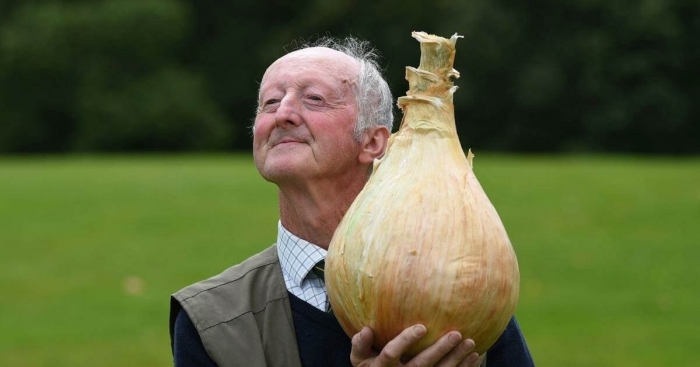 Лук питер глейзбрук рекорд