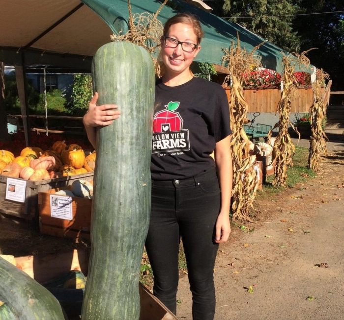 Кабачок огромный