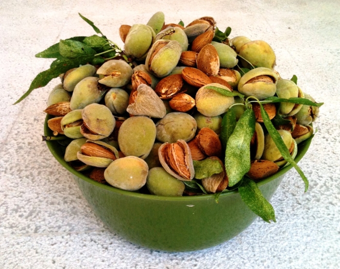 Миндаль бадам