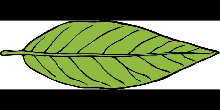 Лист рисунок