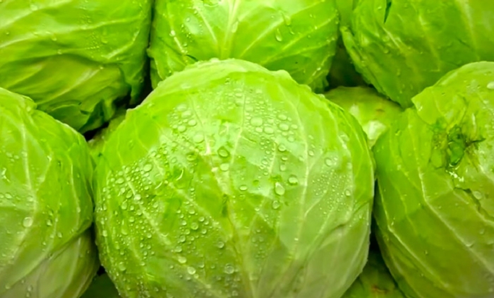 Белокочанная капуста