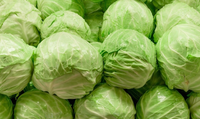 Капуста свежая