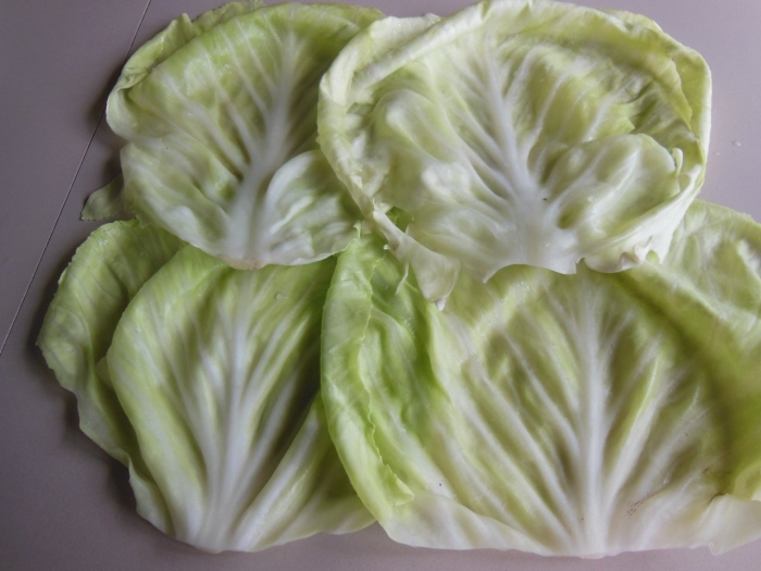 Капустные листья